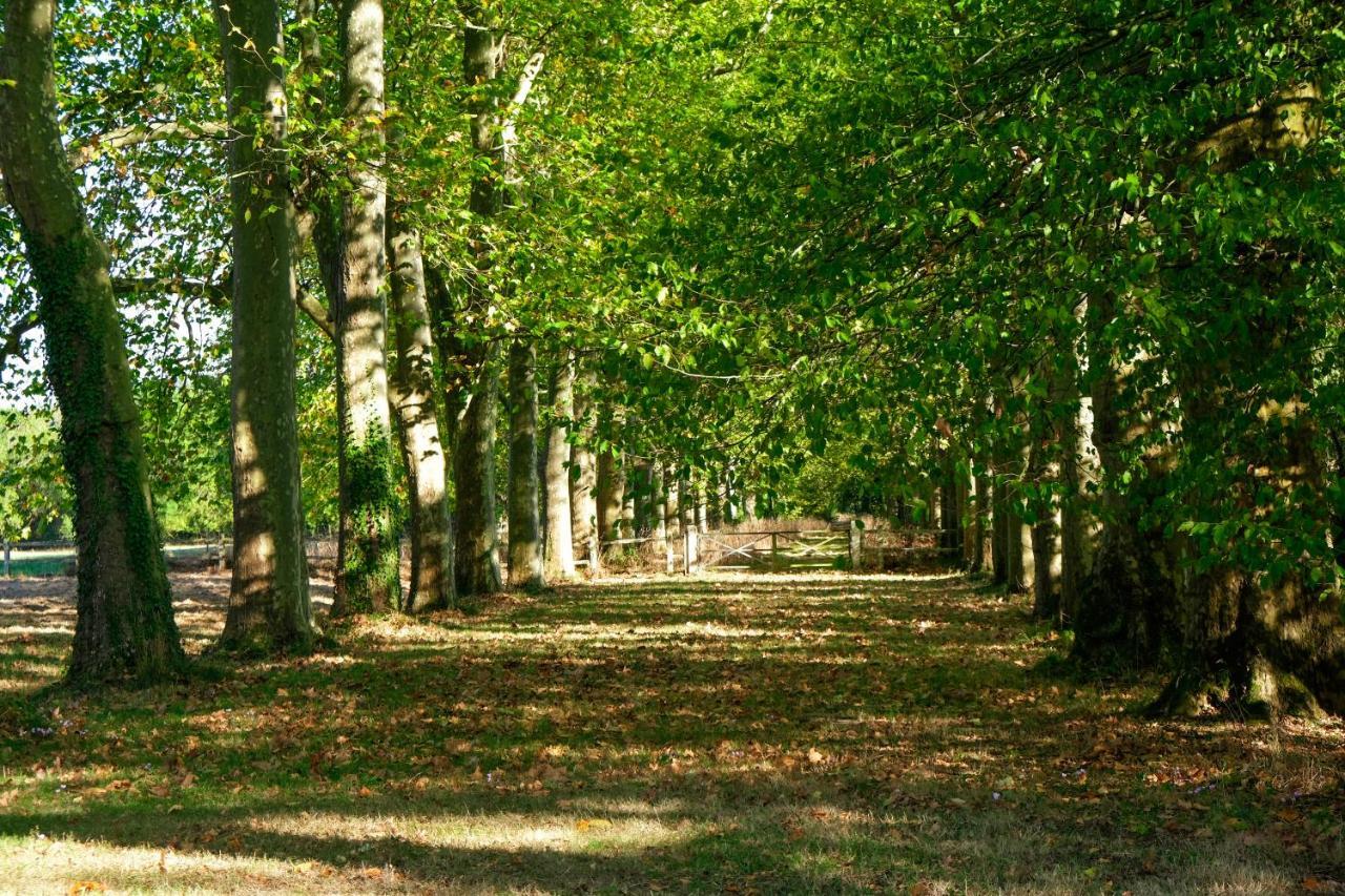 Chateau De Thouare Esterno foto